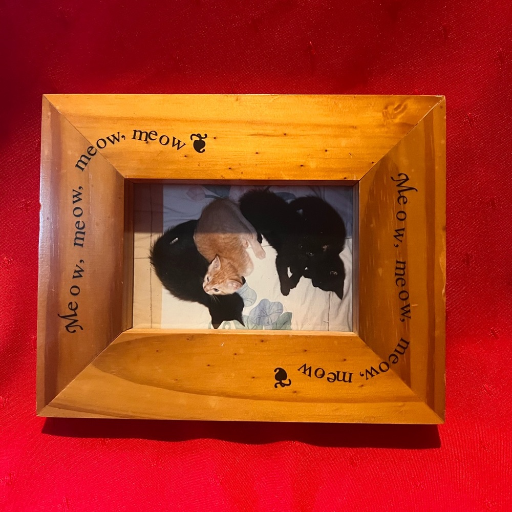 Wooden Cat Picture Frame